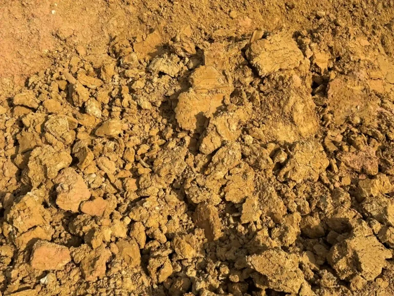 A close-up view of cushion sand.