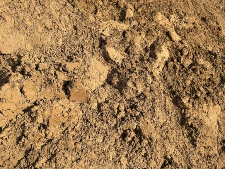 A close-up view of screened top soil.