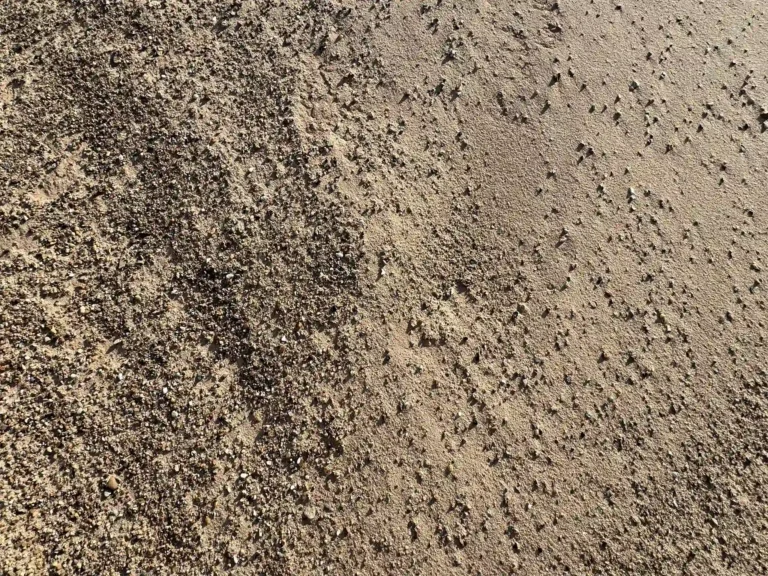 A close-up view of mason sand.