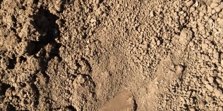 A close-up view of topsoil.